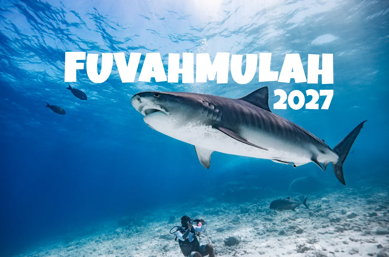Fuvahmulah expedition | Poznej tygří žraloky
