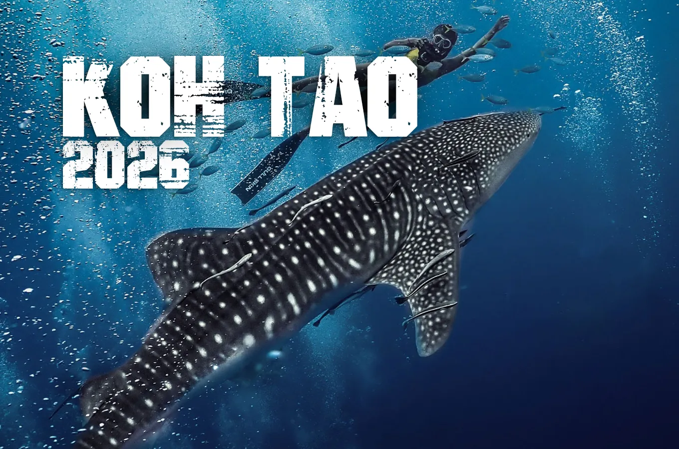 KOH TAO | Místo, kam se chceš vracet